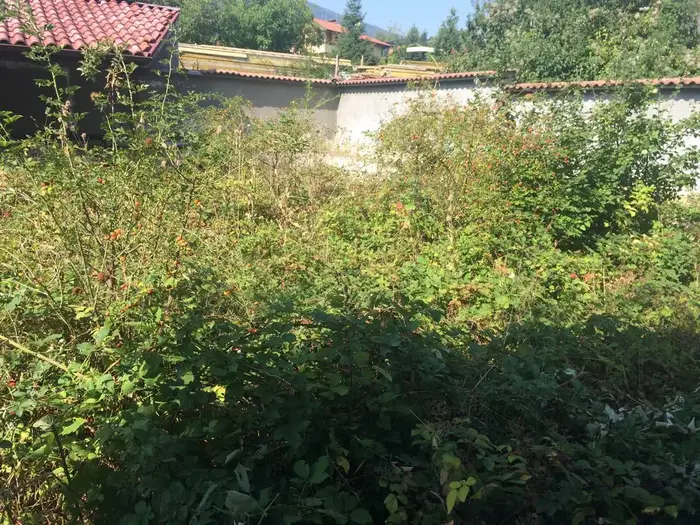 Вашият двор радва ли окото или плаши?