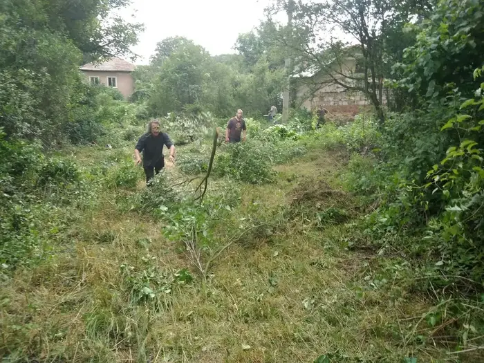 Градинарски календар - не пропускайте важните стъпки