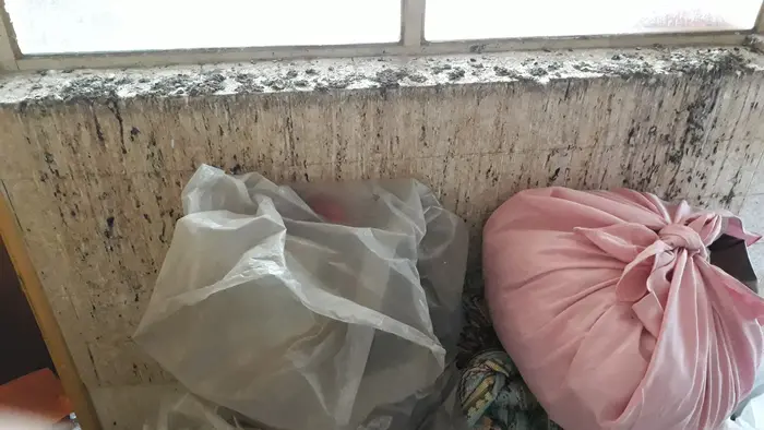 Контрол след почистване и дезинфекция след гълъби