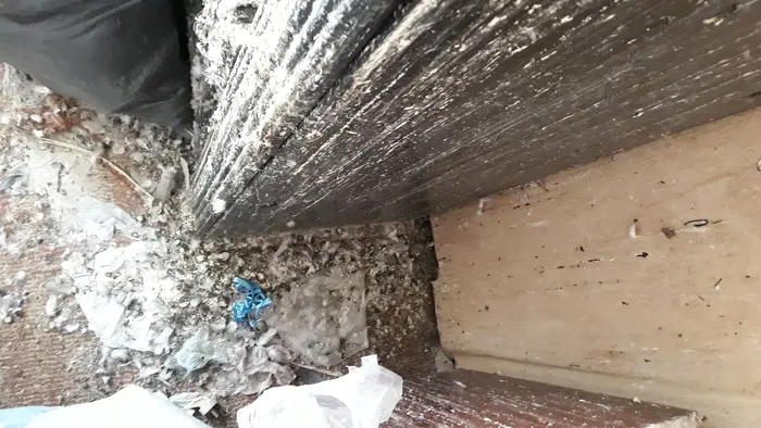 Ефикасни трикове за почистване след гълъби